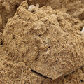 Sharp Sand Delivered Loose